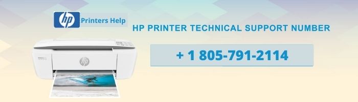 reach-1-8057912114-if-hp-printer-not-printing-anything-hp-printer-not